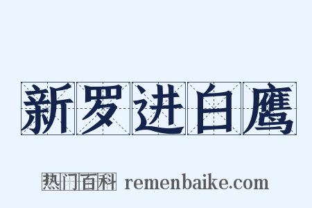 新罗进白鹰是什么意思的图片
